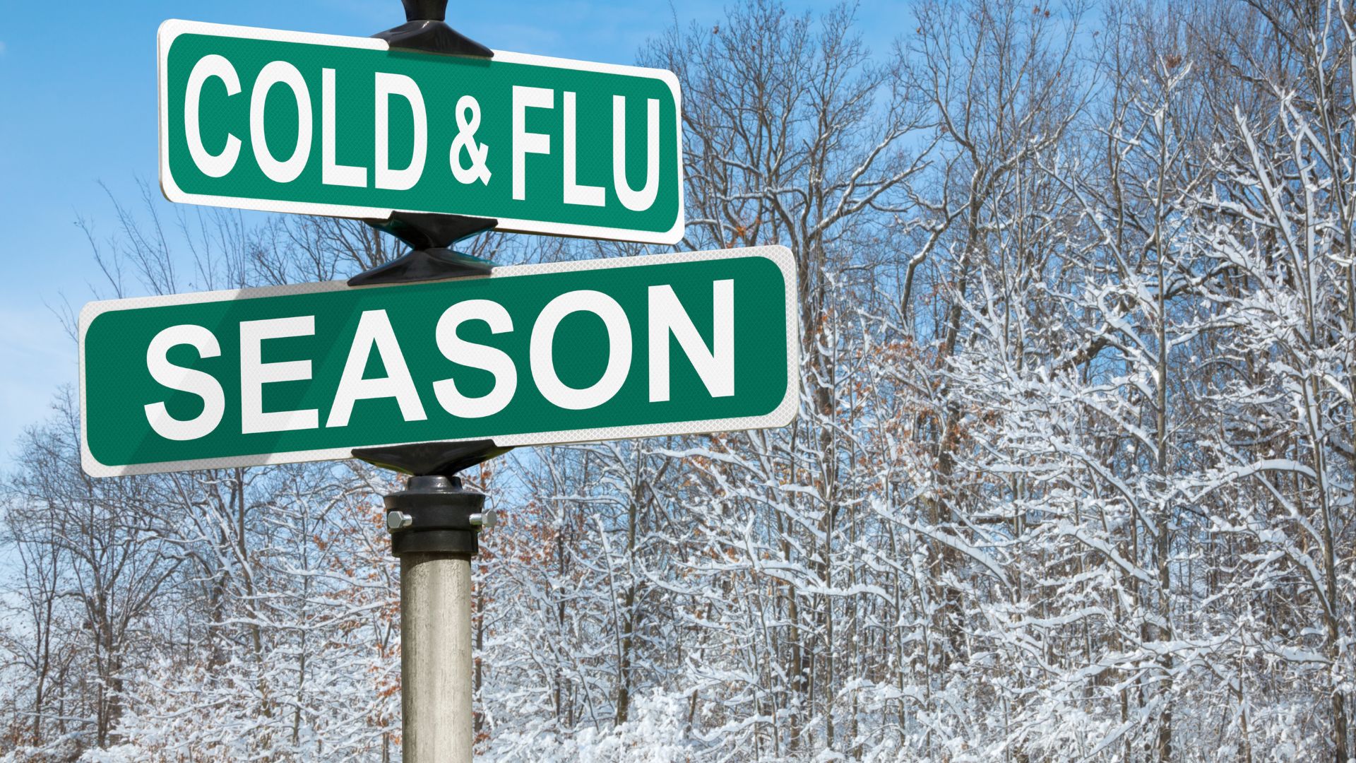 Cold and Flu Season